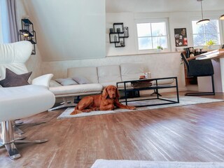 2 Hunde sind willkommen