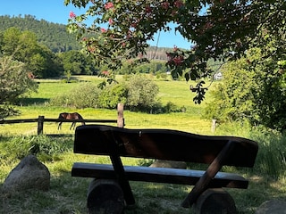 Lauschiger Platz mit  Aussicht