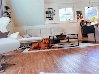 Bis zu 2 Hunde willkommen