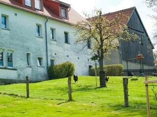 Appartamento per vacanze Tharandt Registrazione all'aperto 4