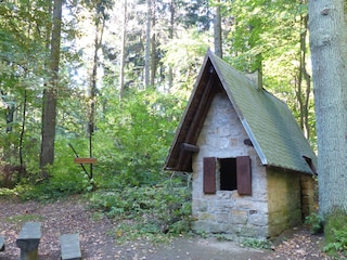 Wandern im Tharandter Wald