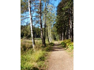 Appartamento per vacanze Tharandt Ambiente 22