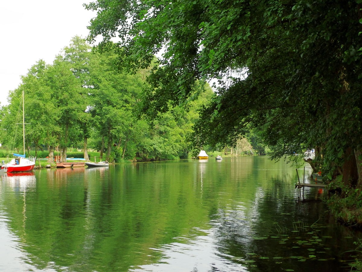 Angeln an der Spree direkt am Grundstück