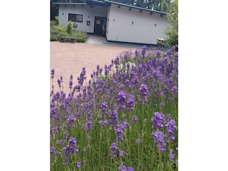 Naturgrundstück,Ferienhaus Schliep