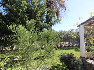 Casa de vacaciones Moncarapacho Grabación al aire libre 8
