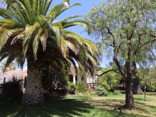 Casa de vacaciones Moncarapacho Grabación al aire libre 4