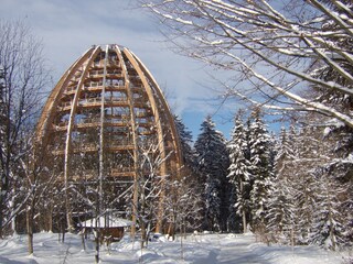Baumwipfelpfad im Nationalpark
