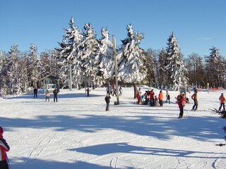 Almberg Mitterfirmiansreut
