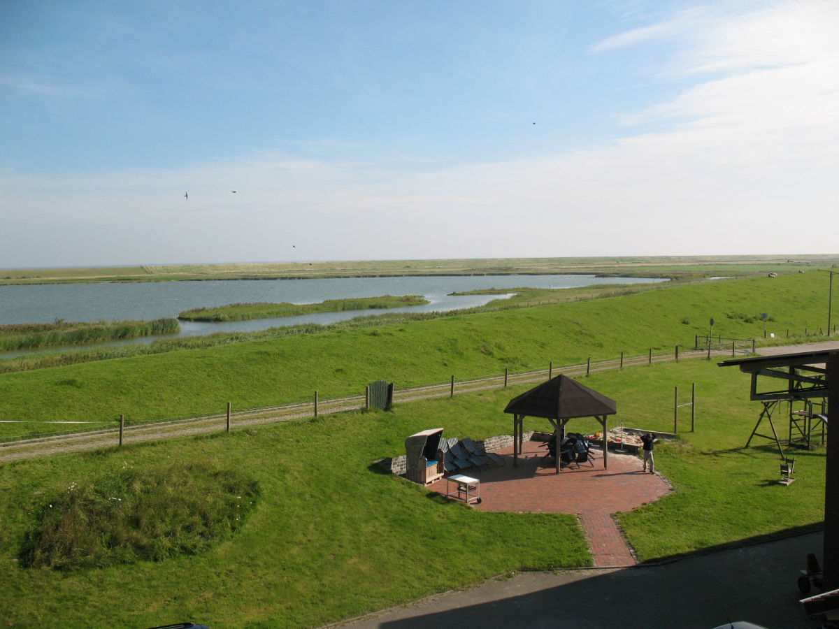 Blick aus der Wohnung (Nordseite) und Terasse