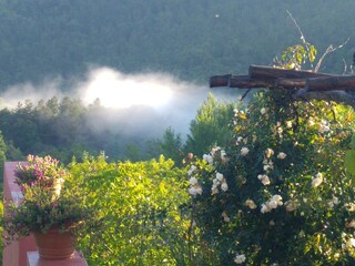 Agriturismo biologico Santa Fiora Registrazione all'aperto 15