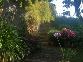 Agriturismo biologico Santa Fiora Registrazione all'aperto 11