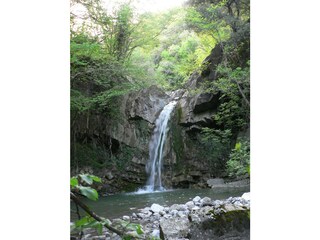 Agriturismo biologico Santa Fiora Ambiente 23