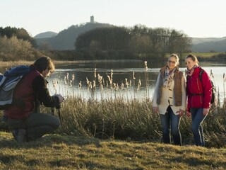 Vakantiehuis Rieden (Eifel) Omgeving 31