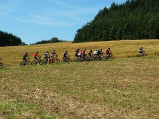 Casa per le vacanze Rieden (Eifel) Ambiente 32