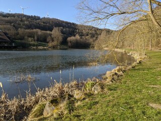 Vakantiehuis Rieden (Eifel) Omgeving 30