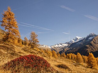 Appartamento per vacanze Weißenbach im Ahrntal Ambiente 20