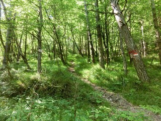 Holiday house Tremosine sul Garda Environment 36