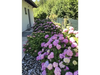 Vakantiehuis Tremosine sul Garda Buitenaudio-opname 18