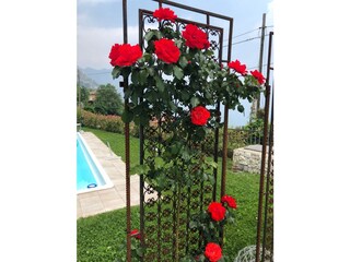 Holiday house Tremosine sul Garda Outdoor Recording 11