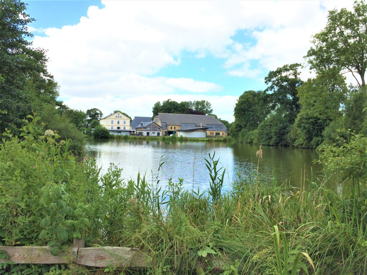 Ferienhaus Alte Wassermühle, Steinberg (Angeln), Firma Gut