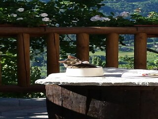 Chalet Saint-Nicolas  33
