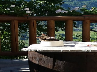 Chalet Saint-Nicolas  39