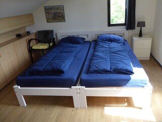 Appartamento per vacanze De Cocksdorp Caratteristiche 21