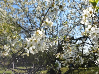 Vakantiehuis Saint-Hilaire-Fontaine  39