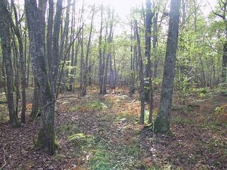 Vakantiehuis Saint-Hilaire-Fontaine Omgeving 35