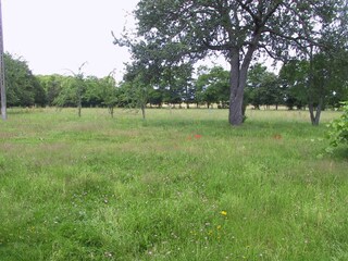 Vakantiehuis Saint-Hilaire-Fontaine Omgeving 35