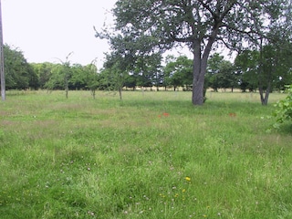 Vakantiehuis Saint-Hilaire-Fontaine Omgeving 35