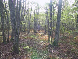 Casa de vacaciones Saint-Hilaire-Fontaine Entorno 35