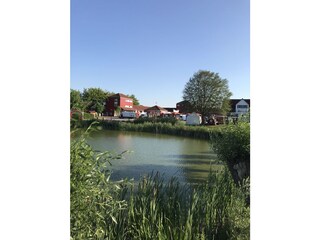 Blick über den See auf den Markt (2min)