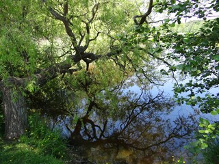 Appartement de vacances Prerow Environnement 17