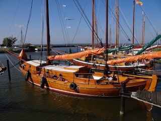 Vakantieappartement Prerow Omgeving 23