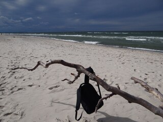 Apartamento de vacaciones Prerow Entorno 19