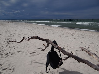 Appartement de vacances Prerow Environnement 19