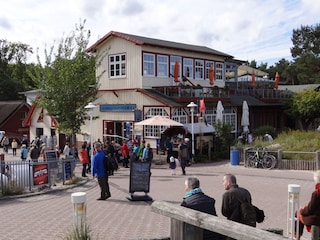 Vakantieappartement Prerow Omgeving 15