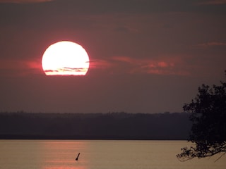 Appartement de vacances Prerow Environnement 25