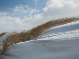 Vakantieappartement Prerow Omgeving 31