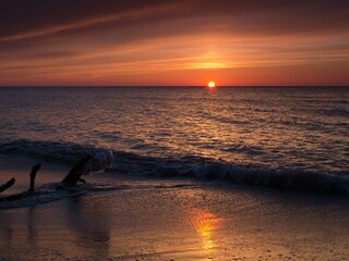 Appartamento per vacanze Prerow Ambiente 26