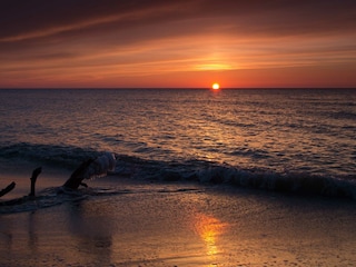 Vakantieappartement Prerow Omgeving 26