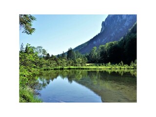 idyllischer Falkensee