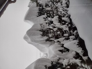 Holiday house Krottenhill Outdoor Recording 4