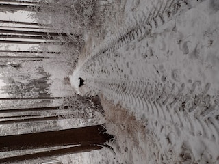 Holiday house Krottenhill Environment 23