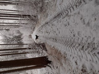 Maison de vacances Krottenhill Environnement 29