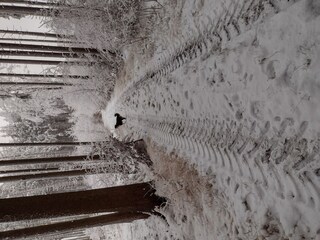 Ferienhaus Krottenhill Umgebung 17