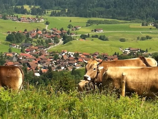 Unser idyllisches Obermaiselstein/Allgäu