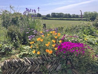 At the back of the Studio