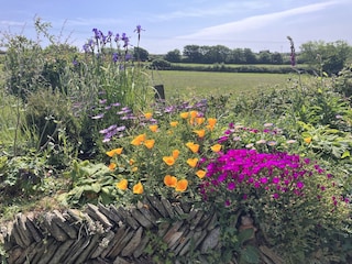 Chalet Camelford Außenaufnahme 6